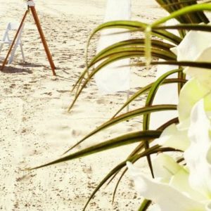 bilinga beach weddings luxury package